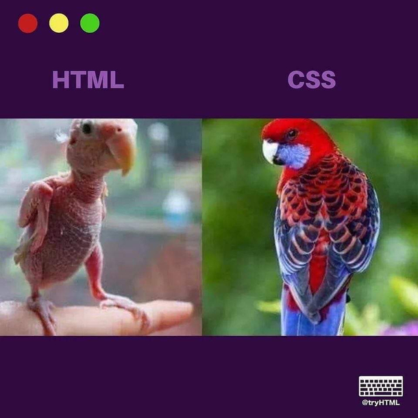 HTML and CSS illustration